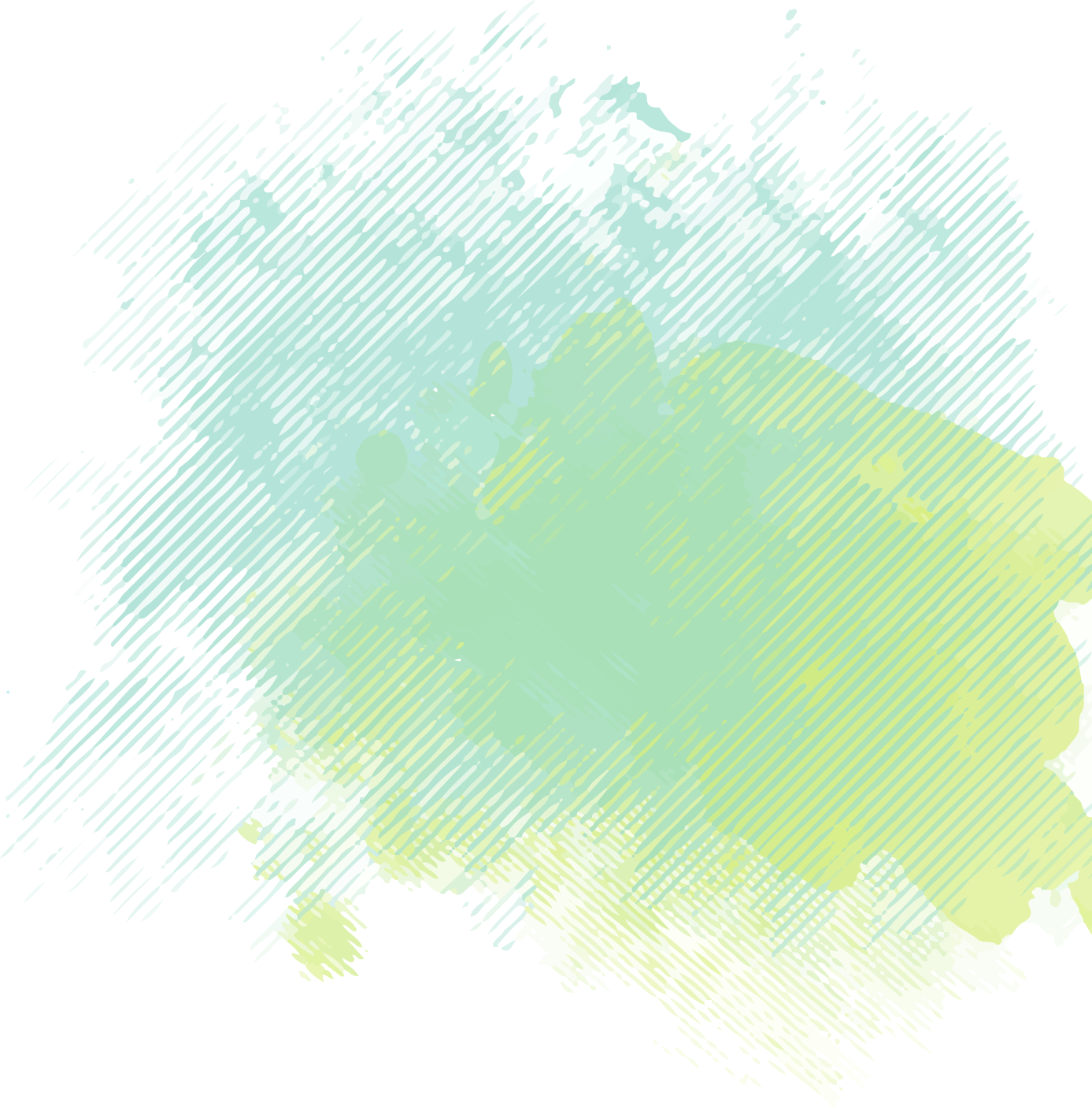 program