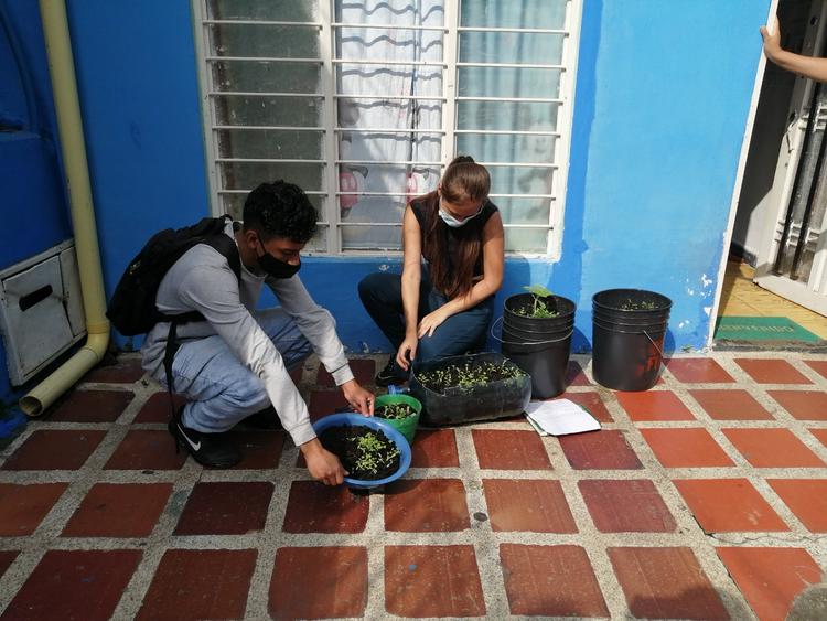 Strengthening Local Food Systems