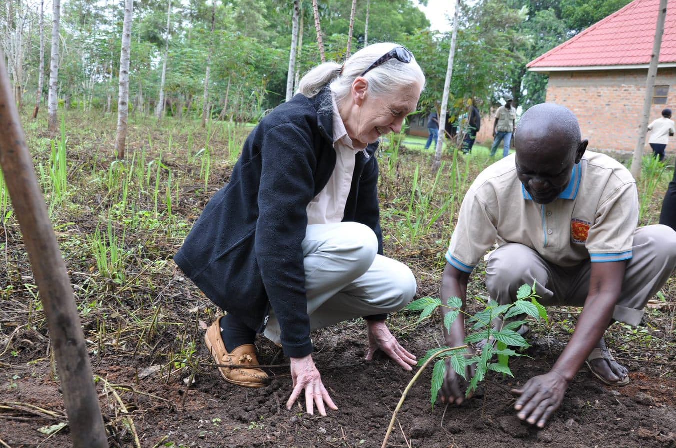 Jane Goodall bei TACARE