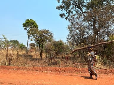 A Sambian woman carries firewood and a baby along a dry path, highlighting Africa Education, sustainable progress, and donate to Africa Education.